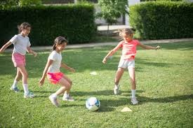 中信兄弟队遗憾失冠，连续多年在总决赛折戟引发球迷热议